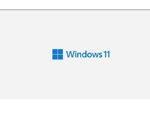 Etiqueta engomada del Coa de la llave X 21 de la licencia de Windows 11 de la PC favorable con llave del producto del triunfo 11 del holograma
