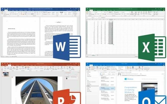 Negocio 2019 del Office Home de la llave de la activación de Microsoft Office 2019 para el mac