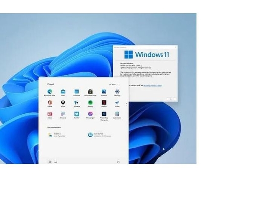 Llave de la activación de Microsoft Windows 11 con la etiqueta engomada del Coa del triunfo 11 del holograma